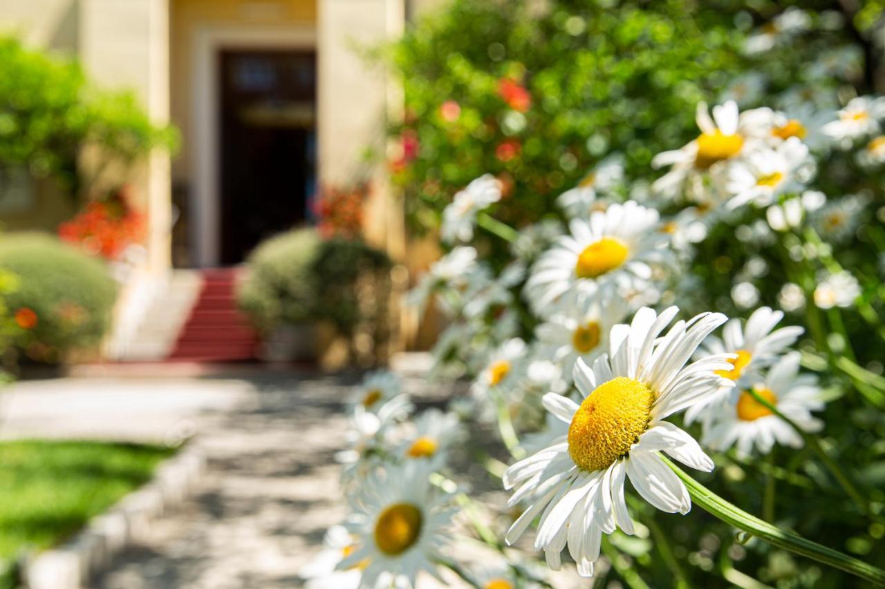 Hotel Villa Elisa & Spa 보르디게라 외부 사진