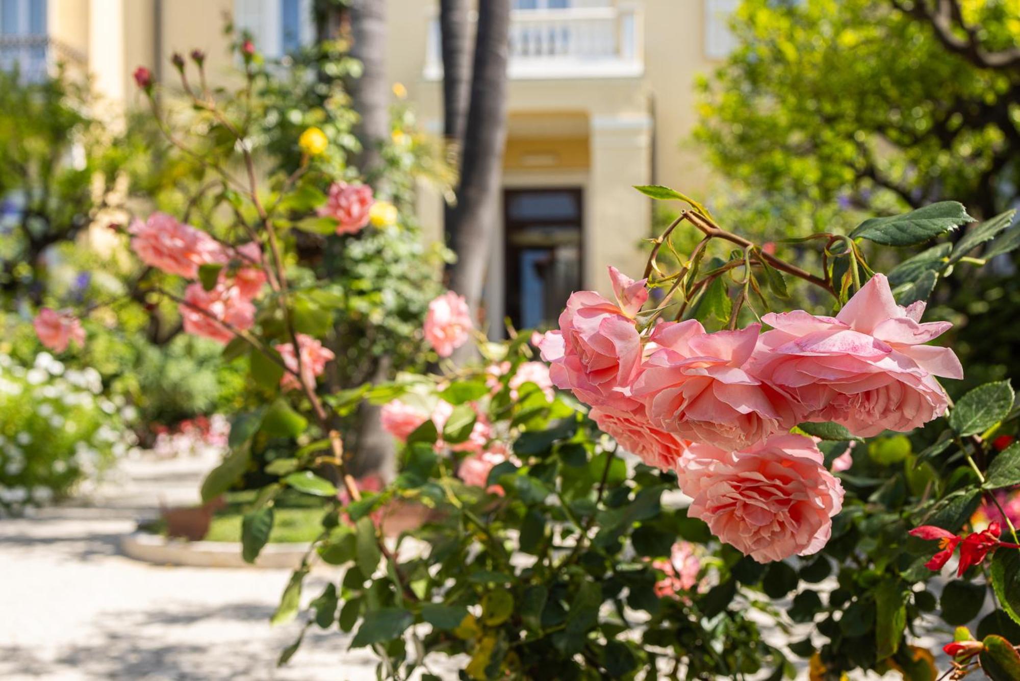 Hotel Villa Elisa & Spa 보르디게라 외부 사진