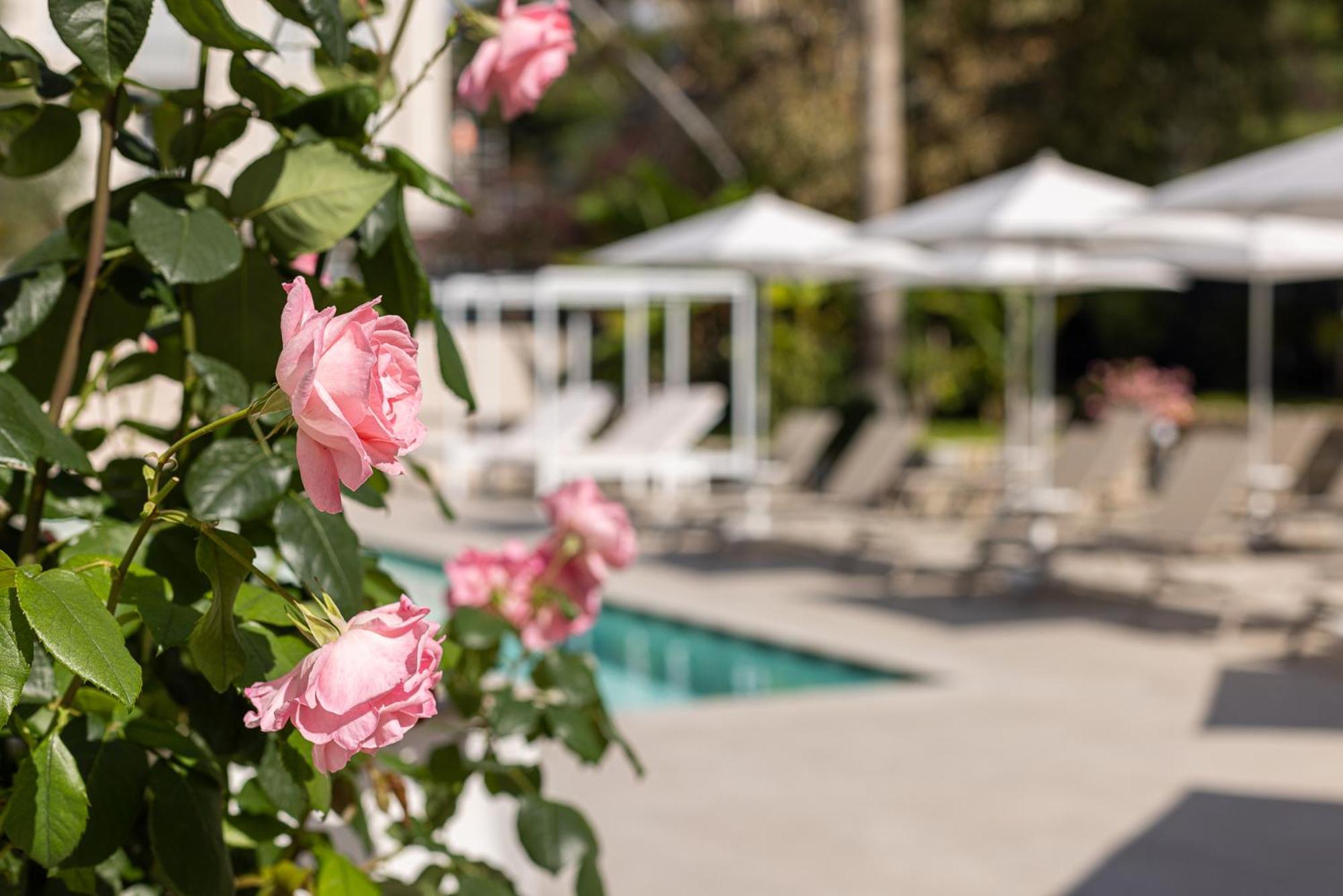 Hotel Villa Elisa & Spa 보르디게라 외부 사진