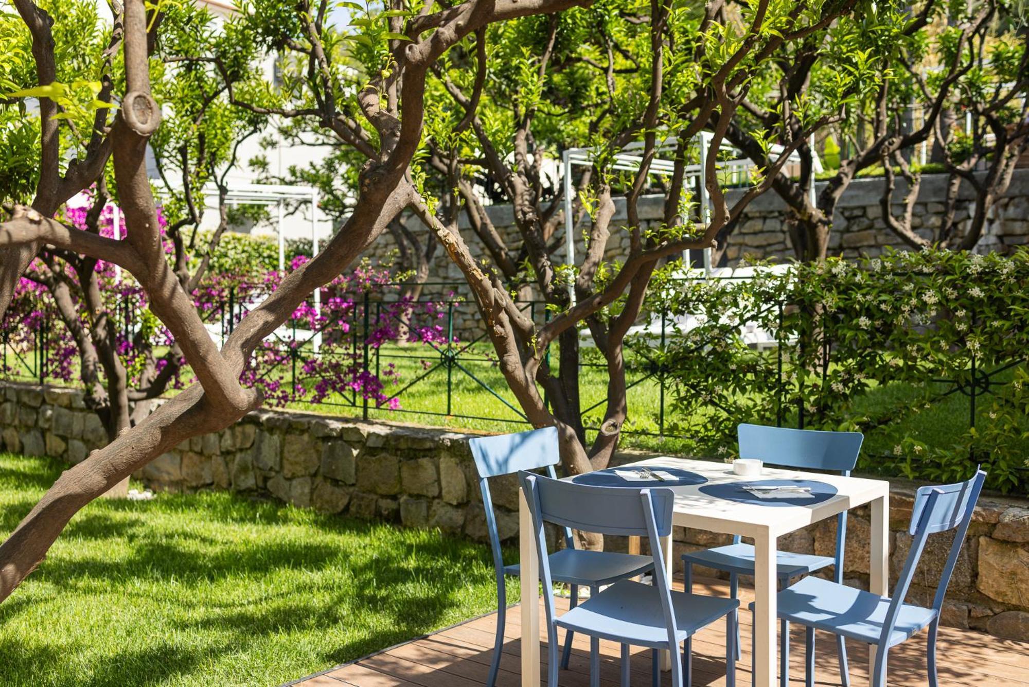 Hotel Villa Elisa & Spa 보르디게라 외부 사진